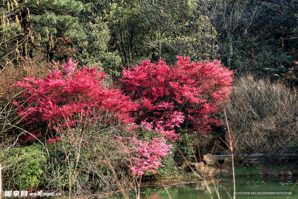 岳麓山穿石坡湖