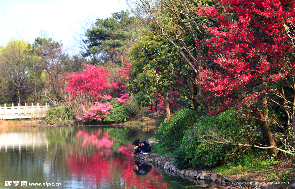 岳麓山穿石坡湖