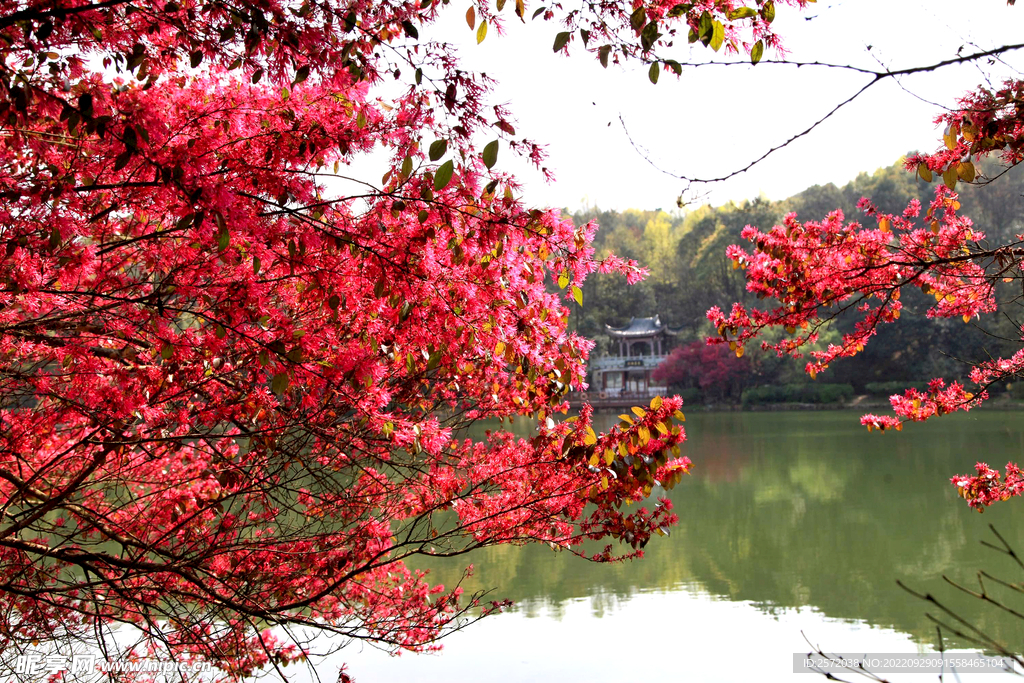 岳麓山穿石坡湖