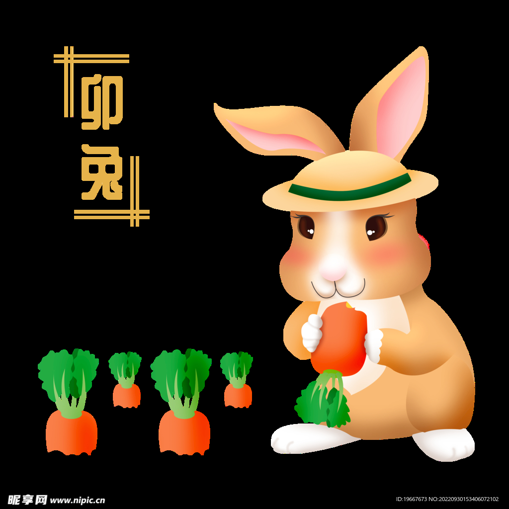 十二生肖兔