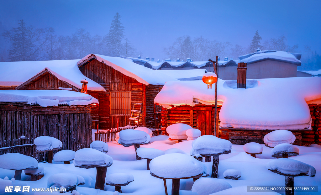 东北房屋雪景