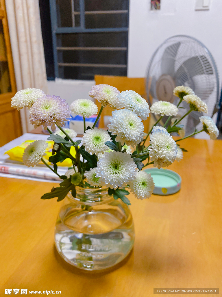 菊花