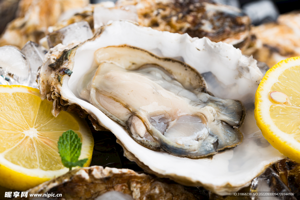 生蚝