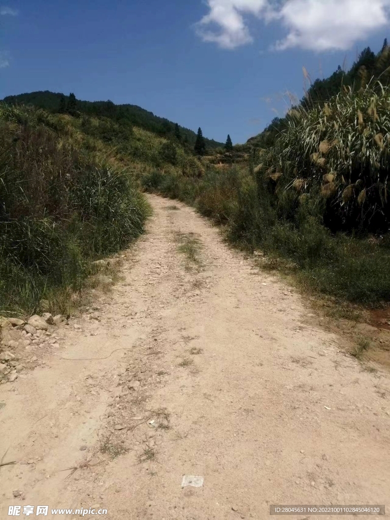 山上的土路