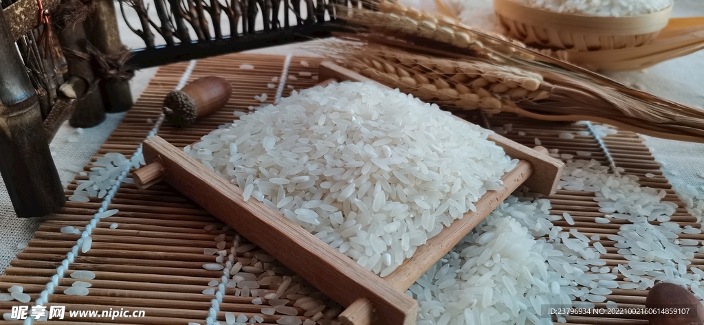 大米照片