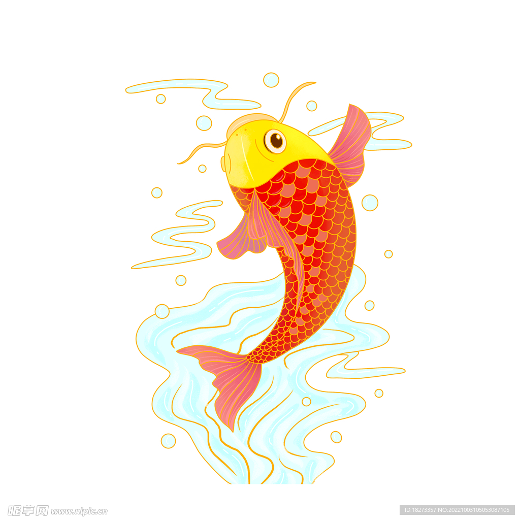 锦鲤