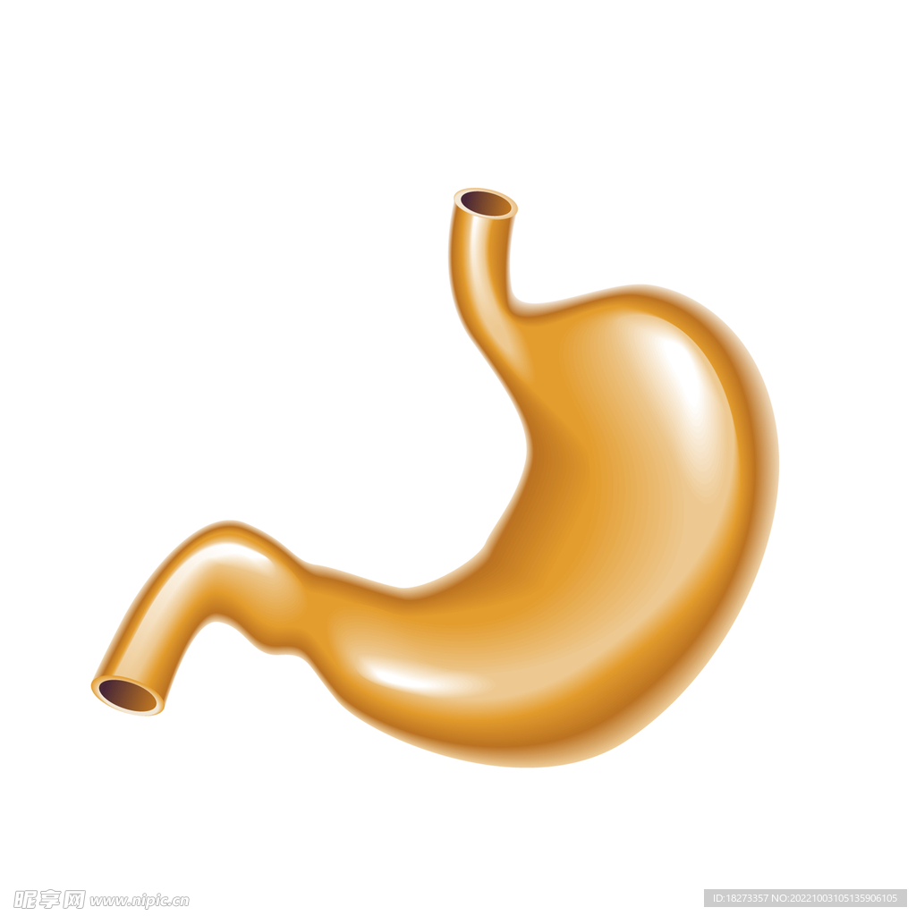 胃