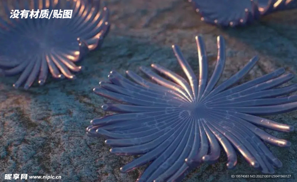 C4D模型海星