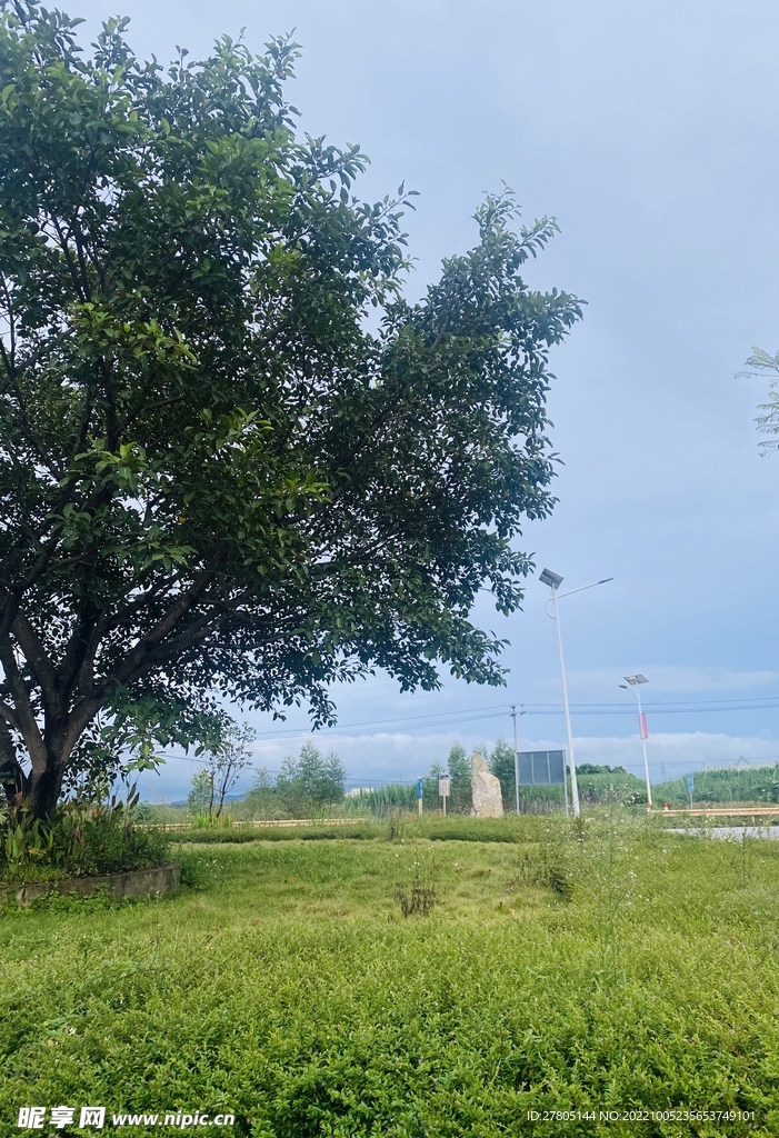乡村景色