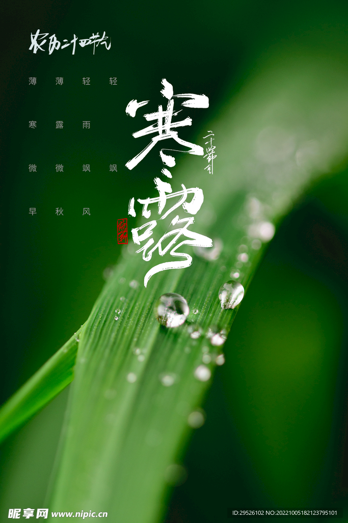 24节气 寒露