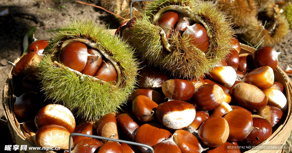 糖炒板栗高清图