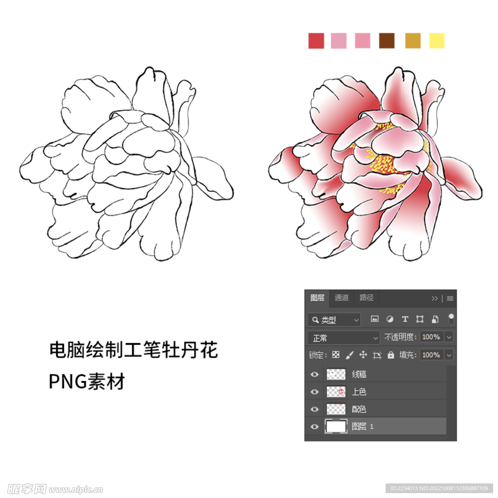工笔牡丹花