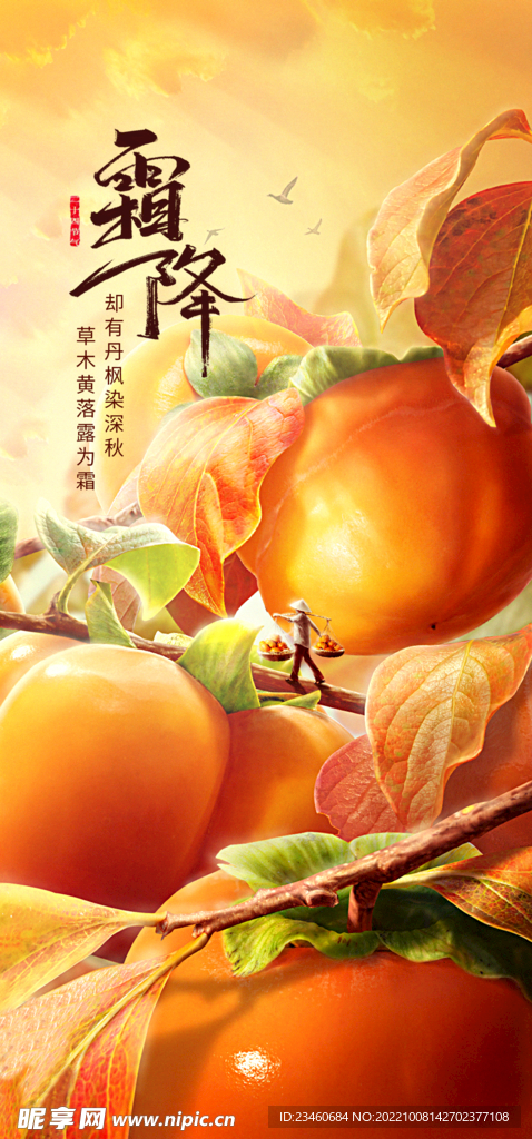 霜降