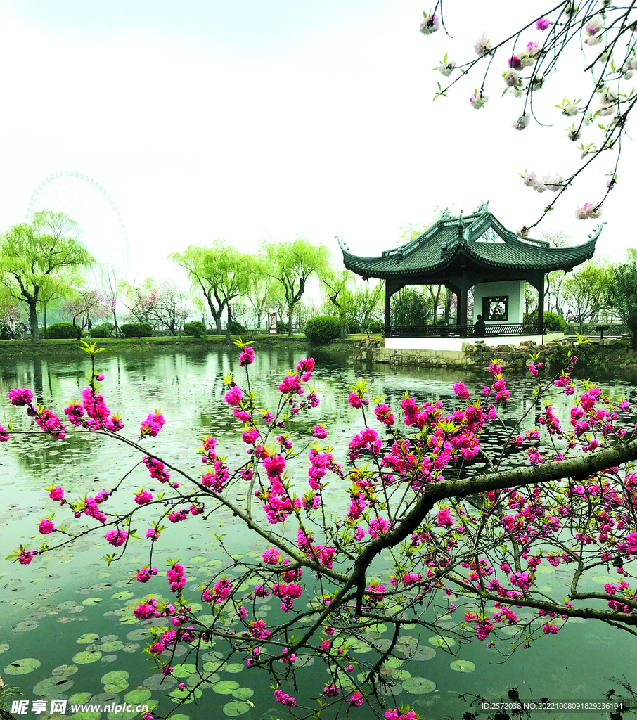 无锡蠡园