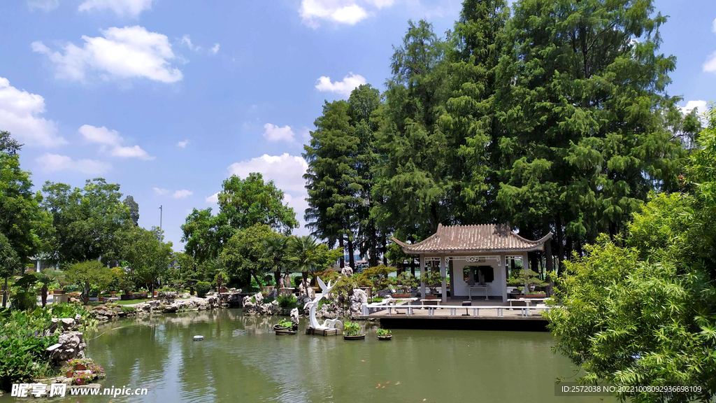 南京玄武湖