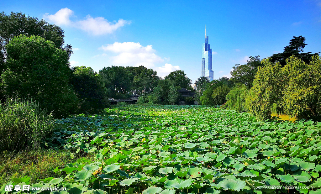 南京玄武湖