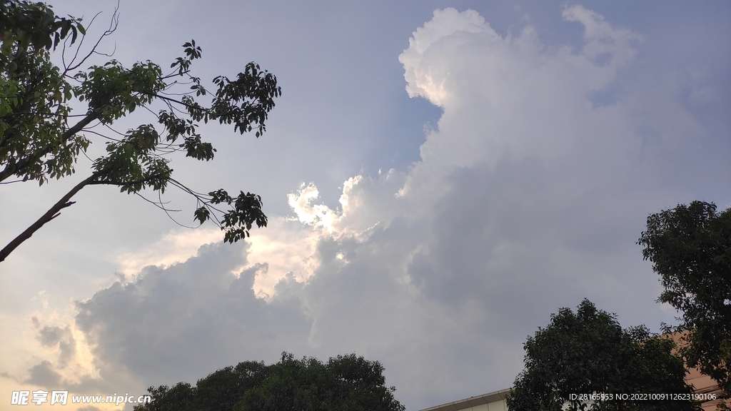 仰视树枝云层云彩云朵树影