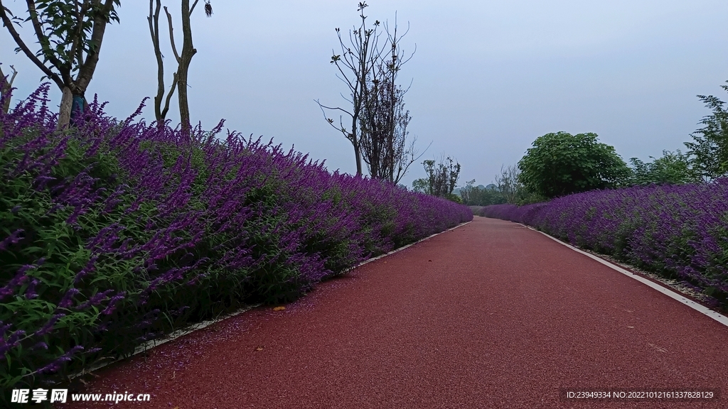 公路
