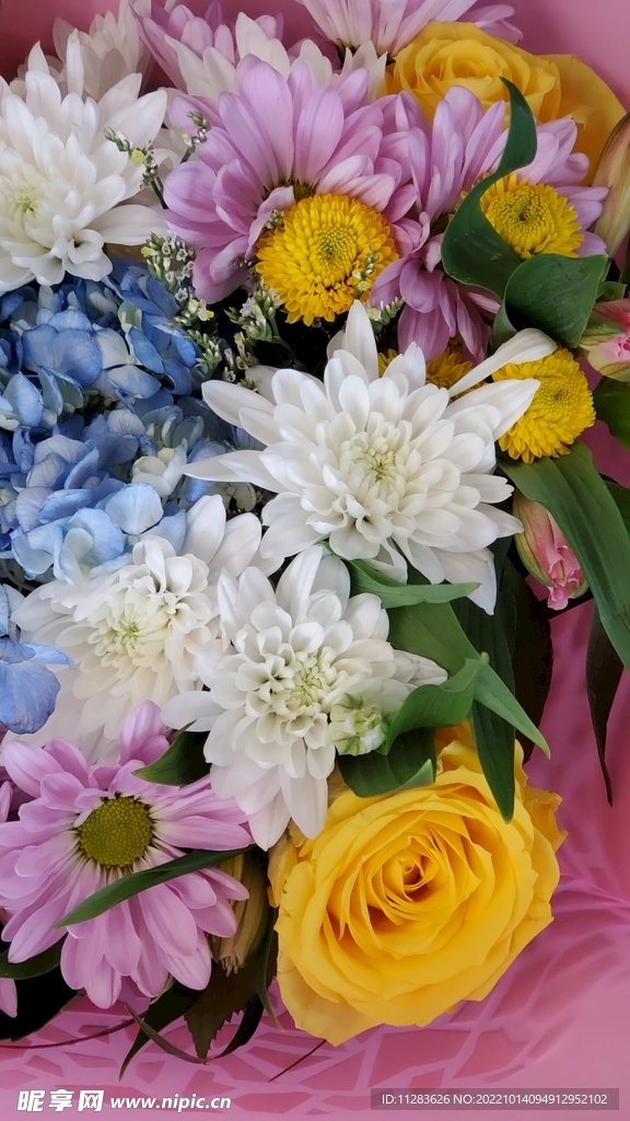 鲜花背