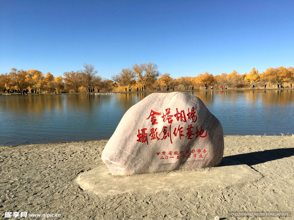 金塔胡杨林 
