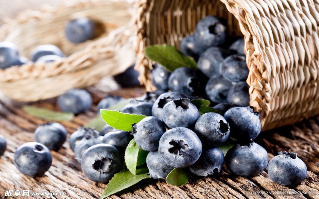 框子里的蓝莓摄影图