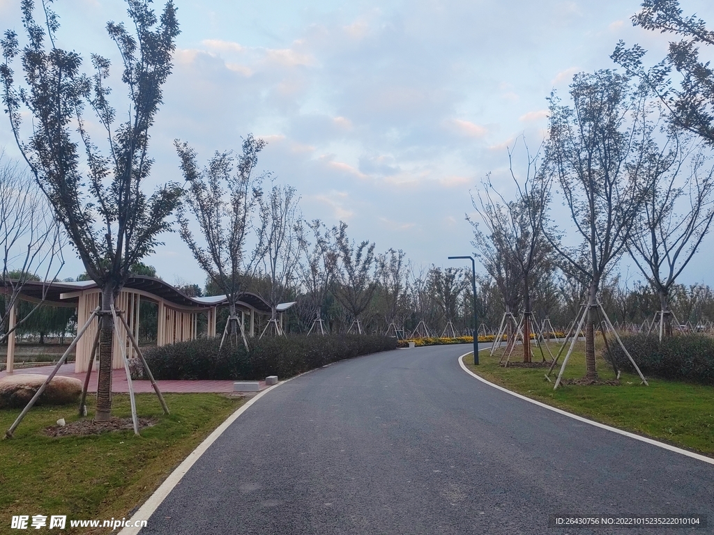 林间沥青水泥路