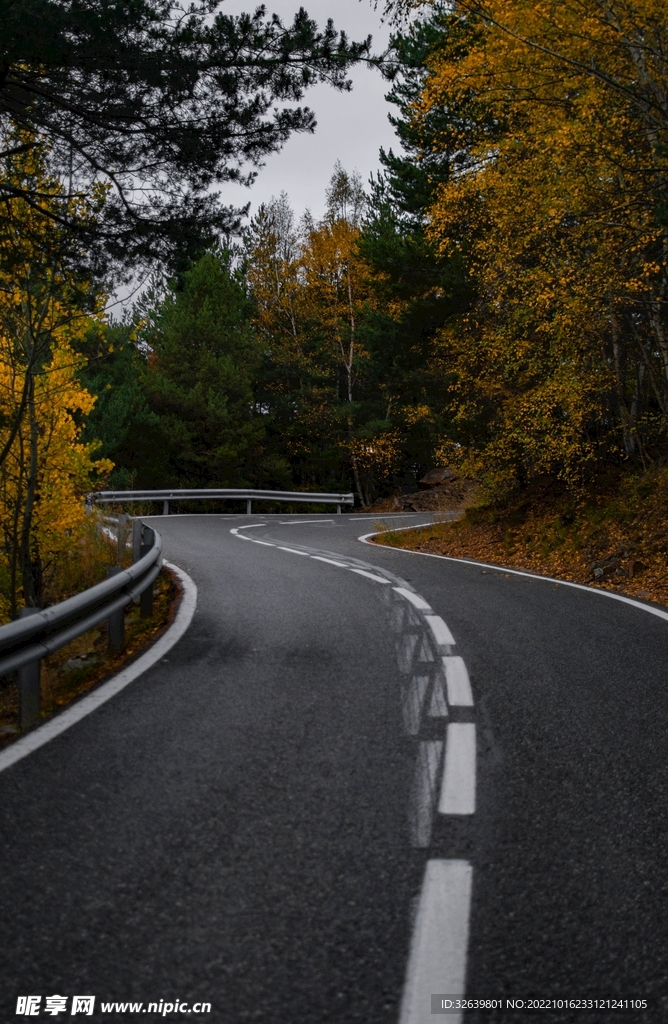 林间公路