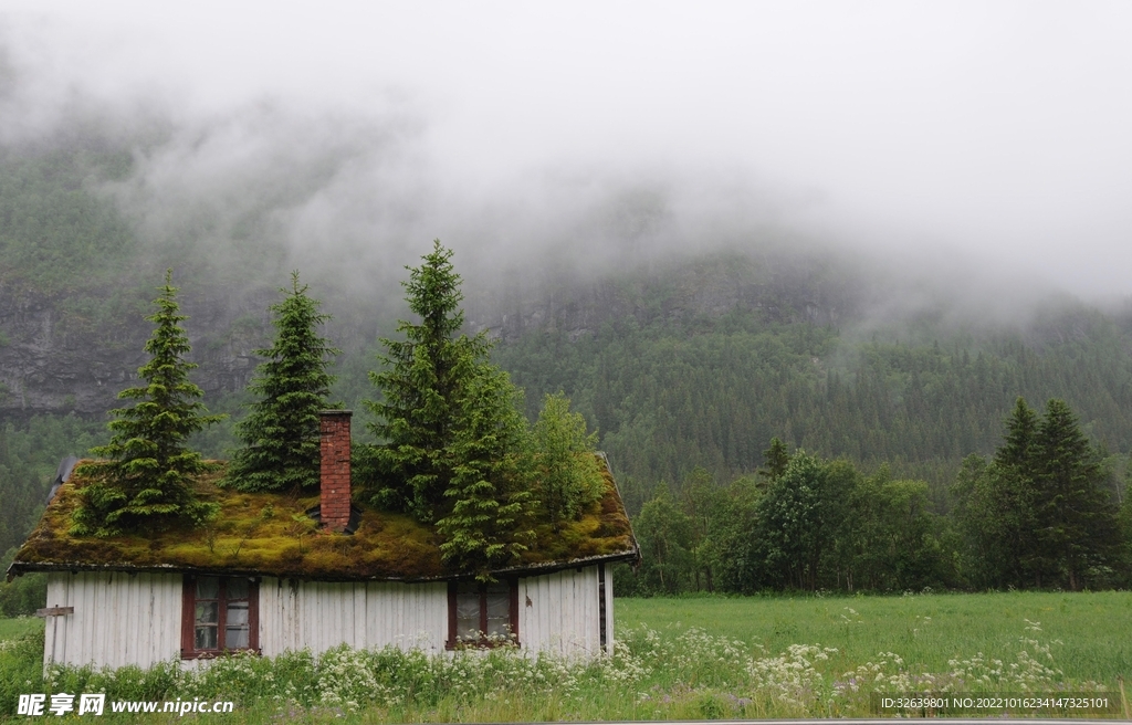 林间小屋