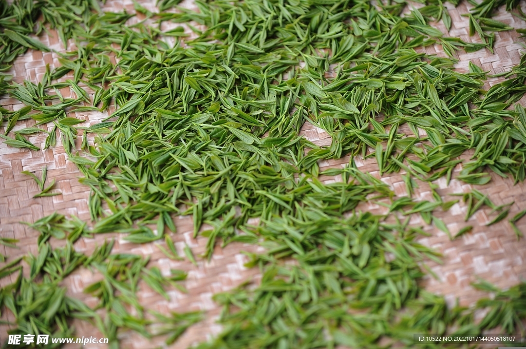 制茶 