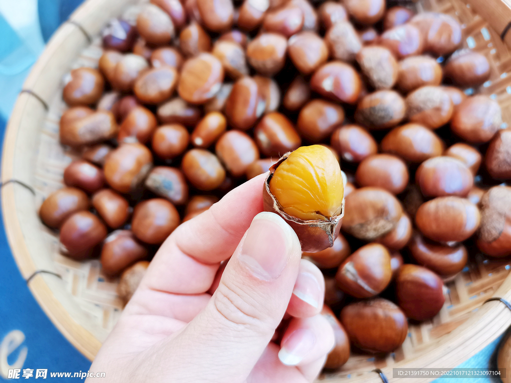 糖炒板栗 炒栗子 坚果炒货