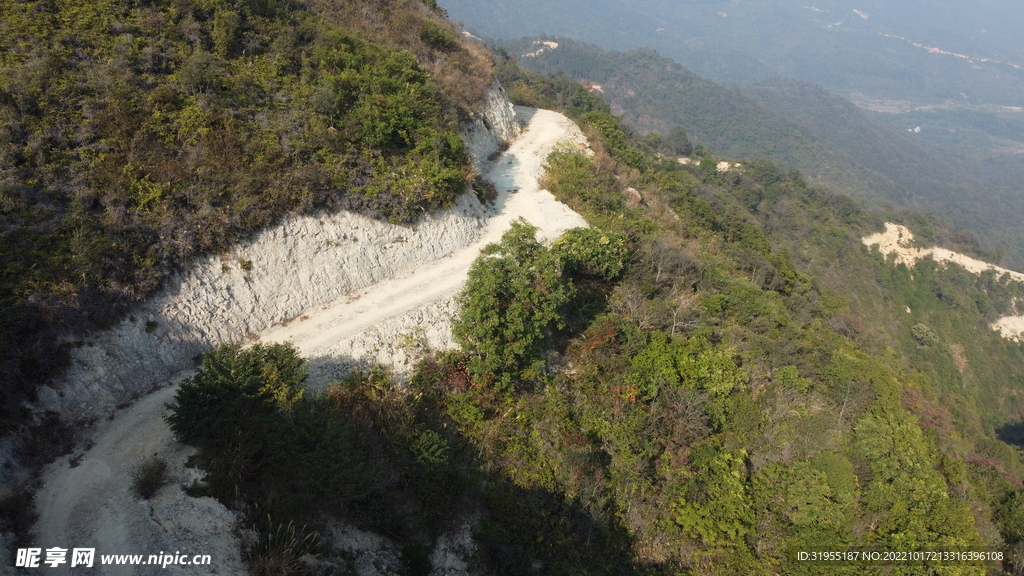 山