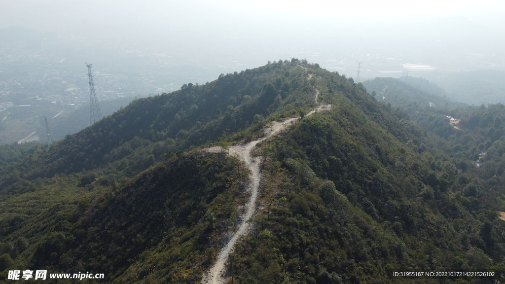 山