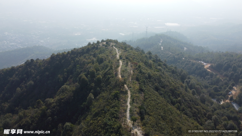 山