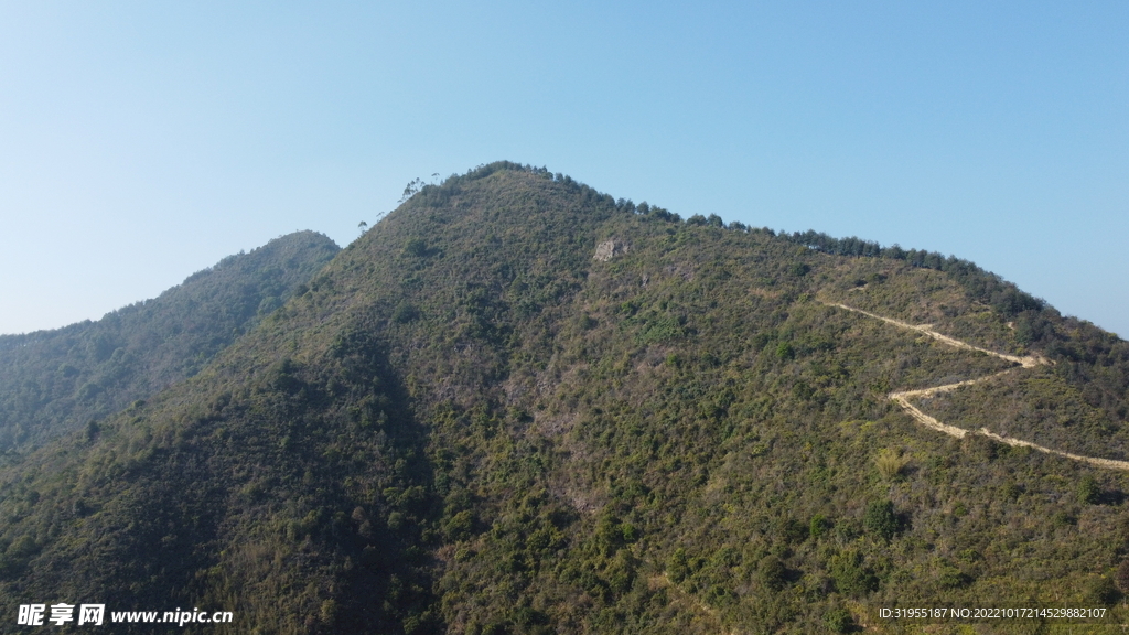 山
