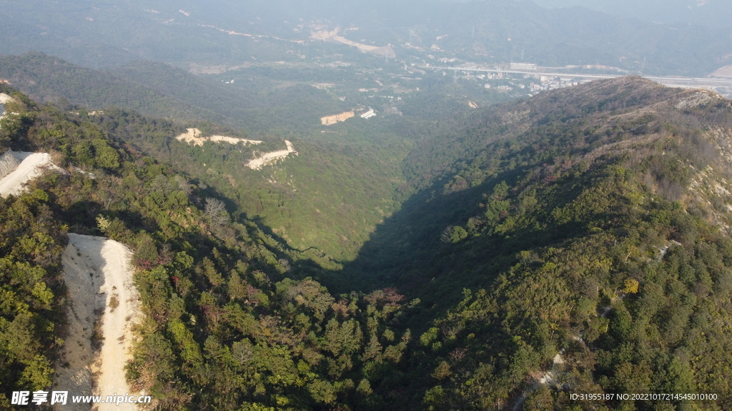 山