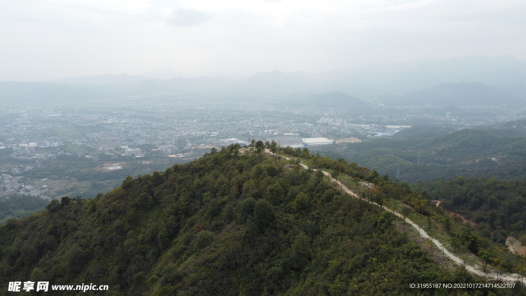 山