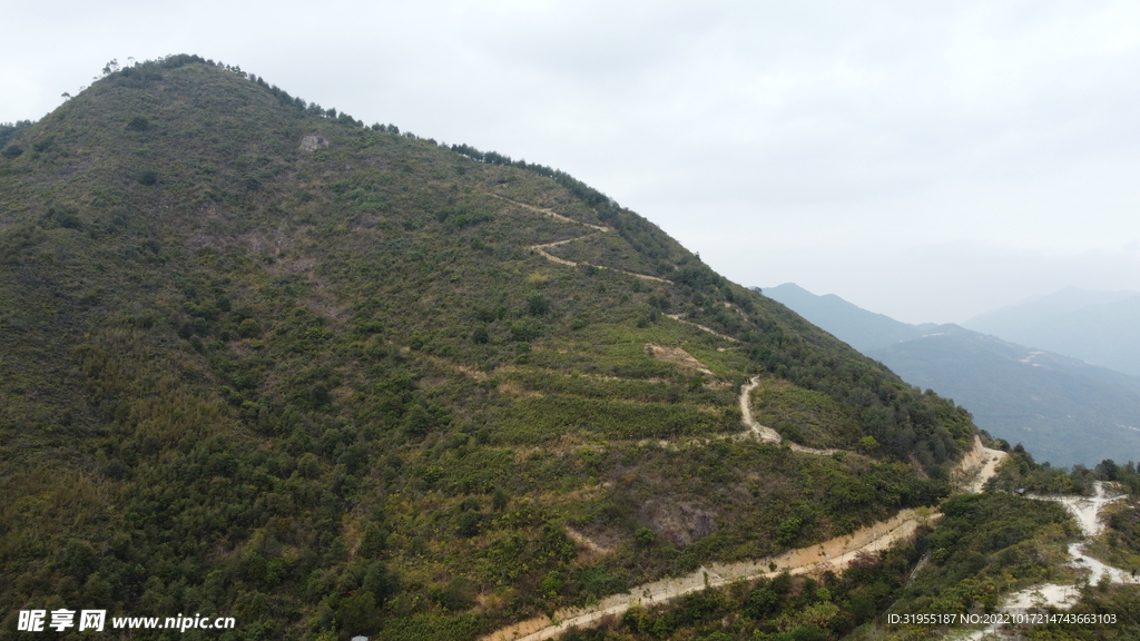 山