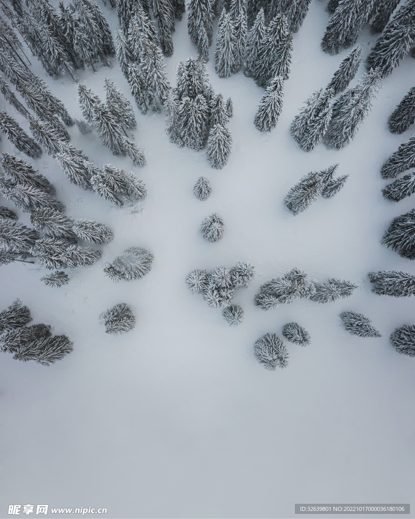森林雪景