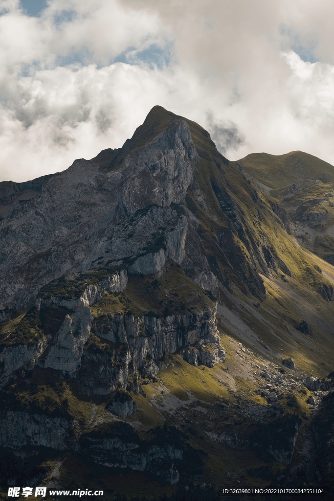 山