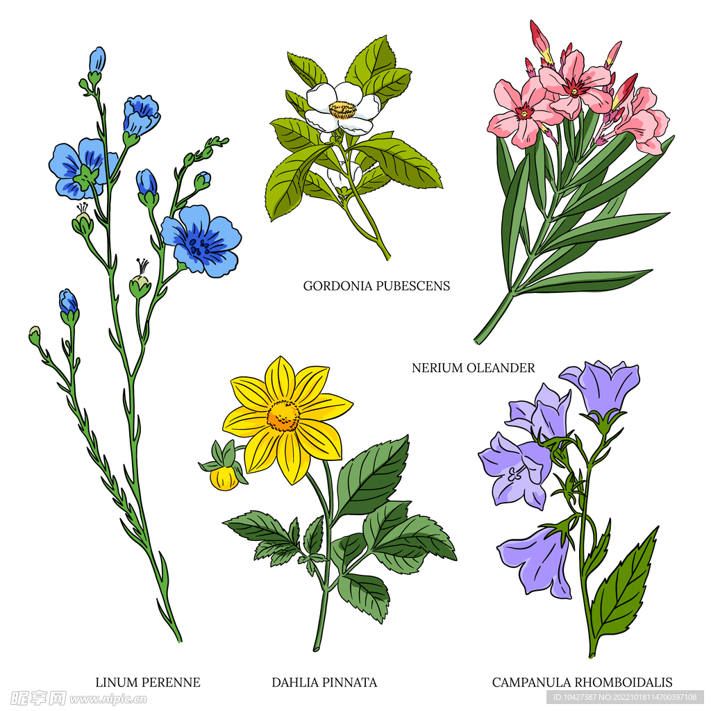 卡通花