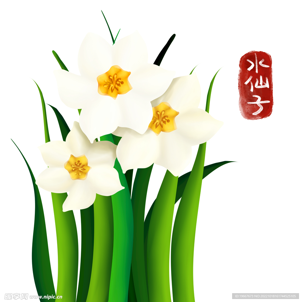 植物