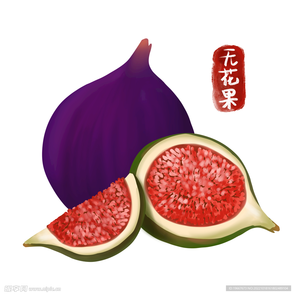 植物
