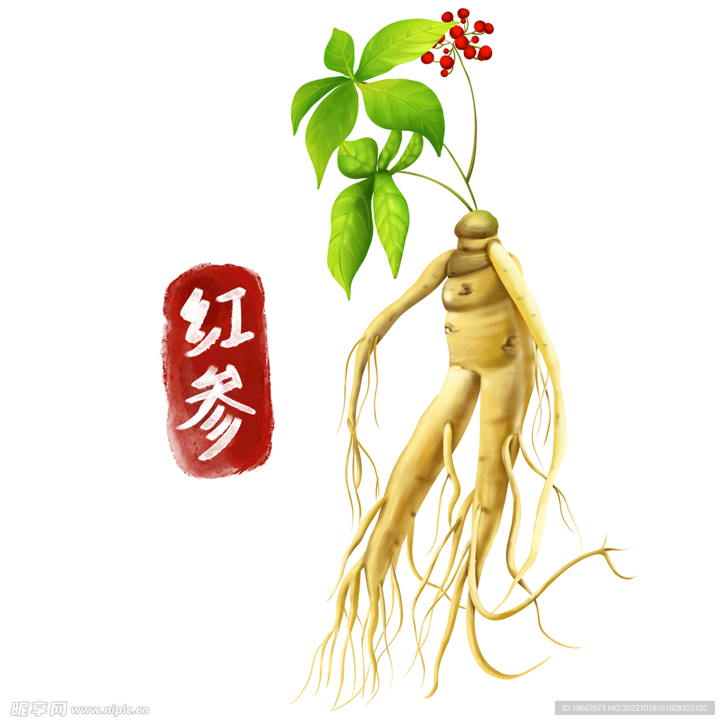 植物