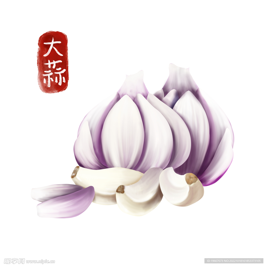 植物