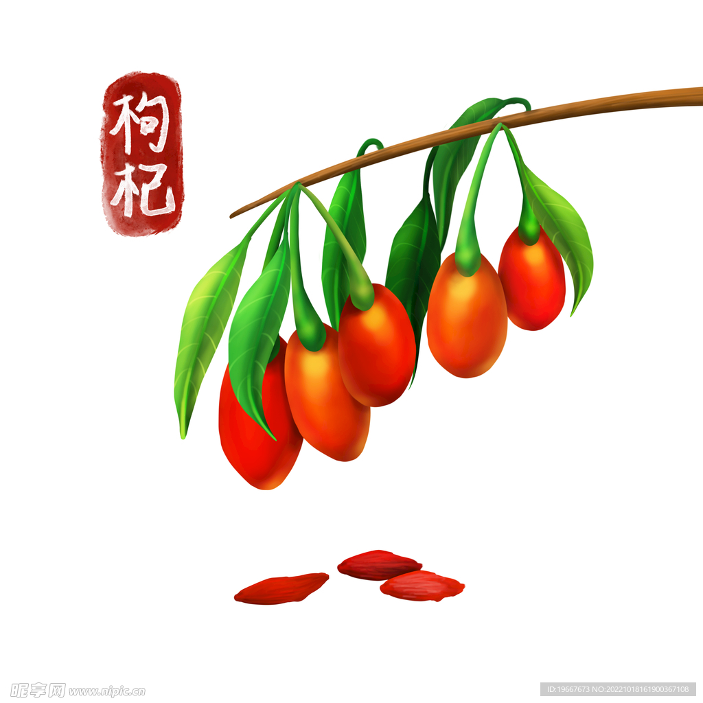 植物