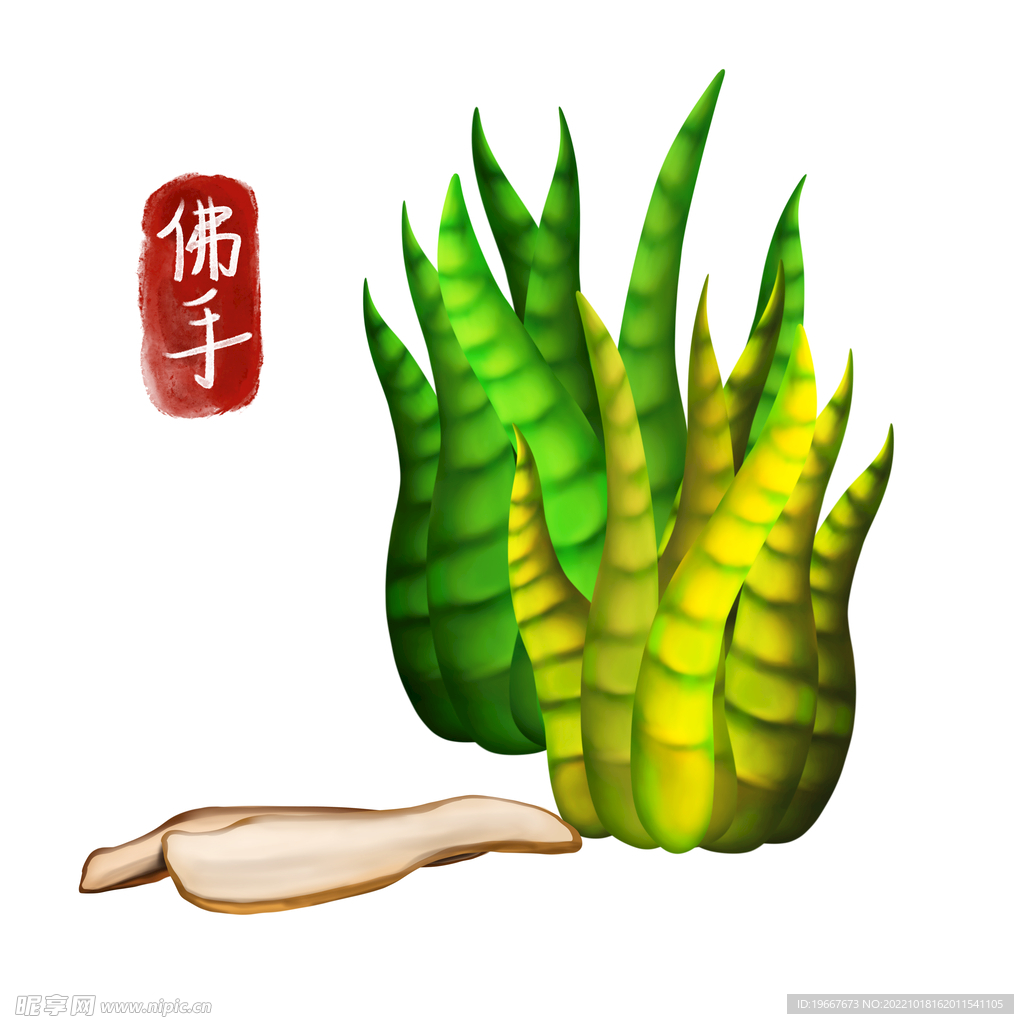 植物