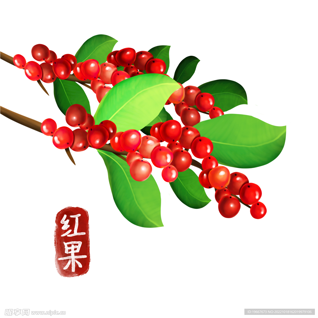 植物