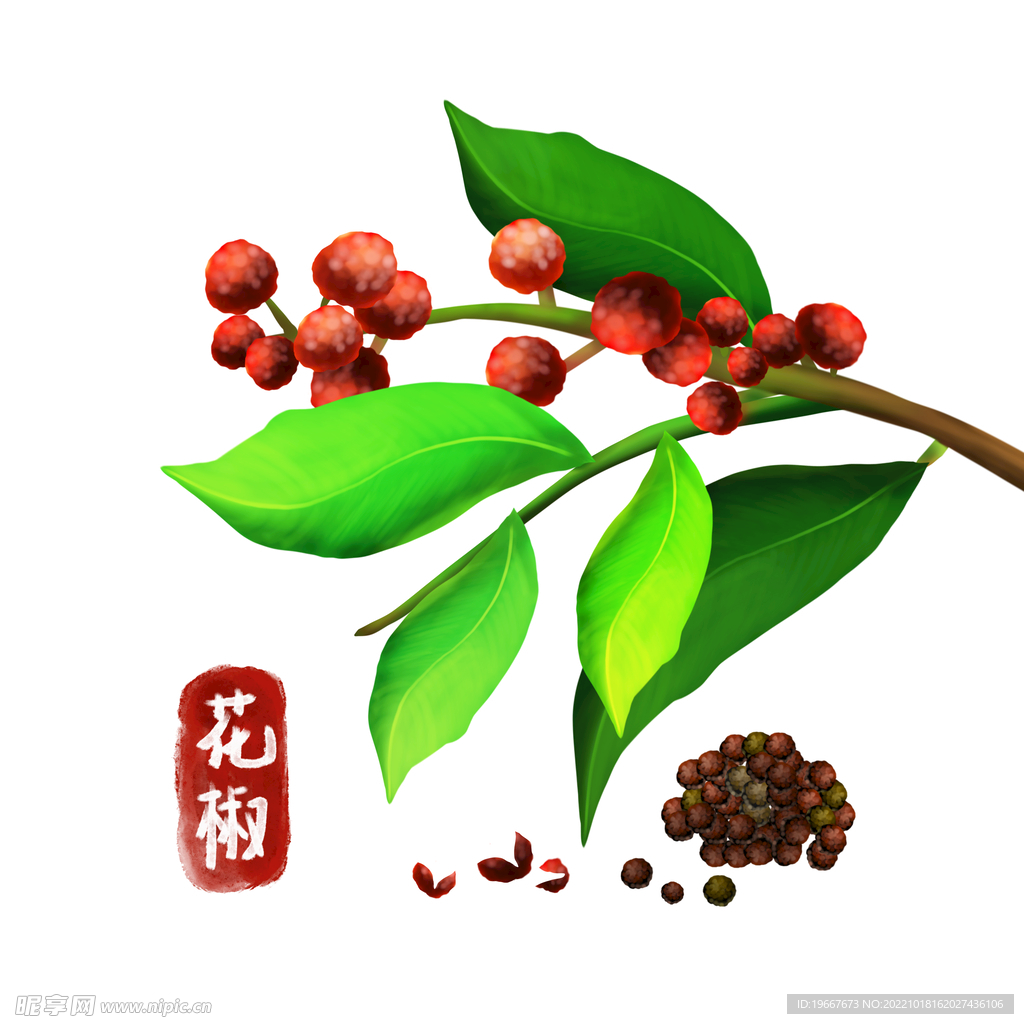 植物