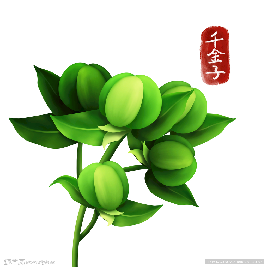 植物