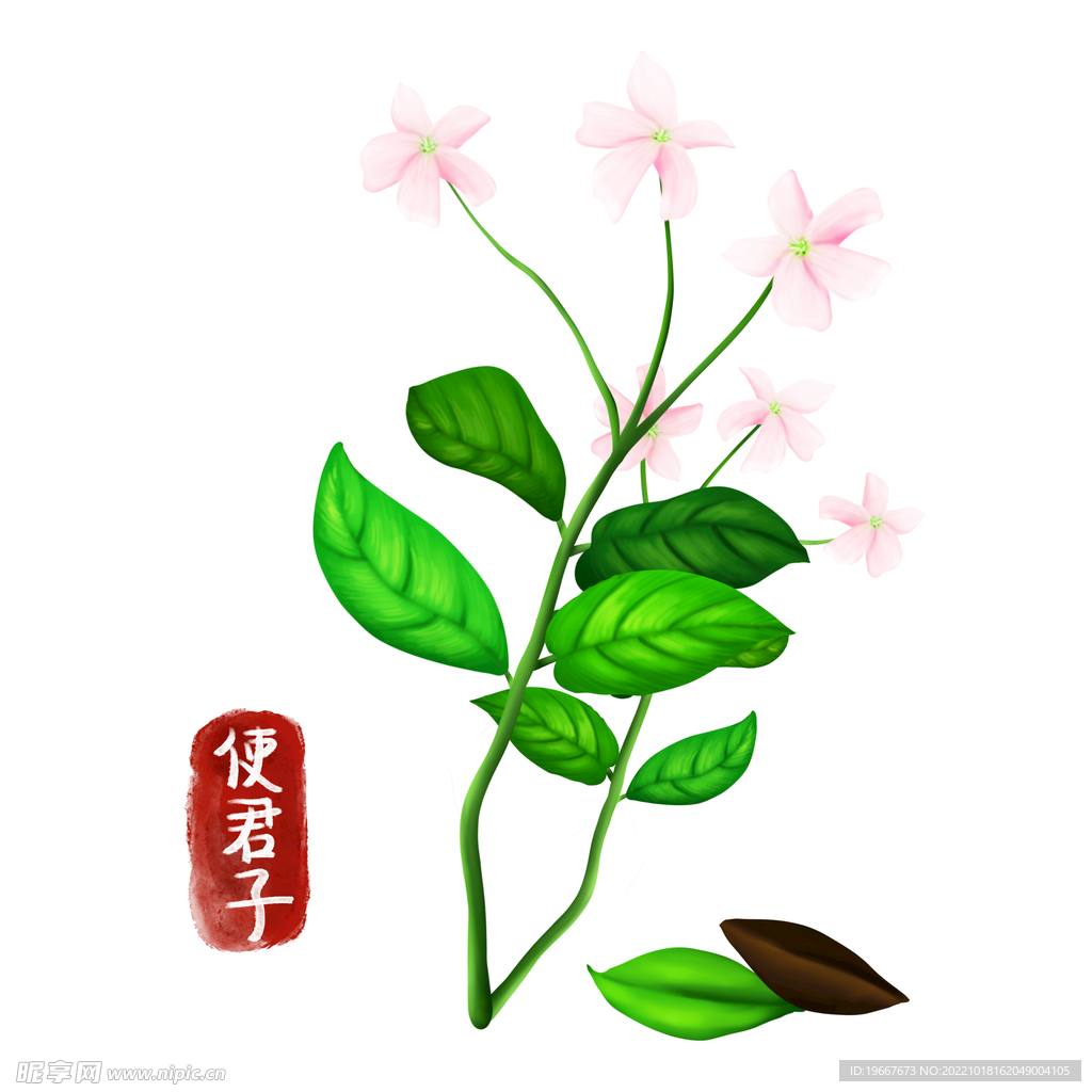 中药